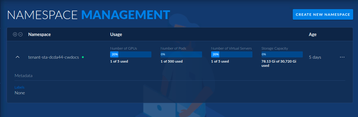 Screenshot of the namespace management dashboard